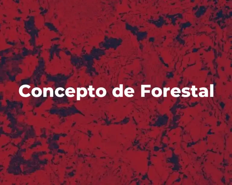 Concepto de Forestal