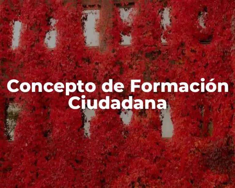 Concepto de Formación Ciudadana
