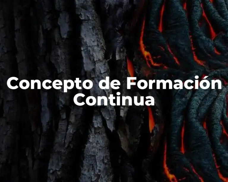 Concepto de Formación Continua