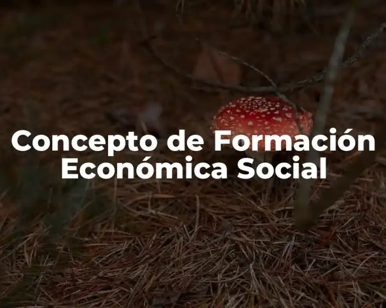 Concepto de Formación Económica Social