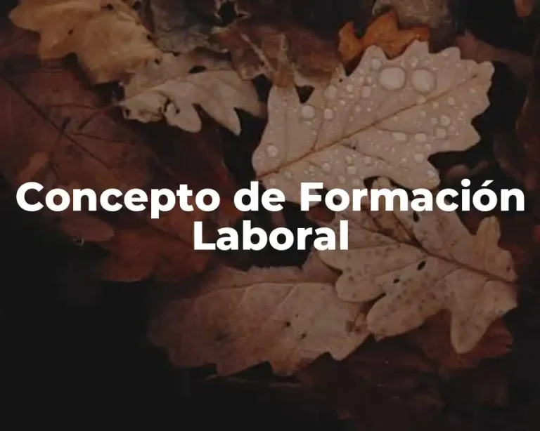 Concepto de Formación Laboral