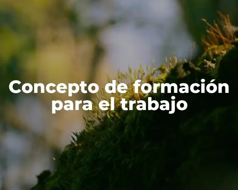 Concepto de formación para el trabajo