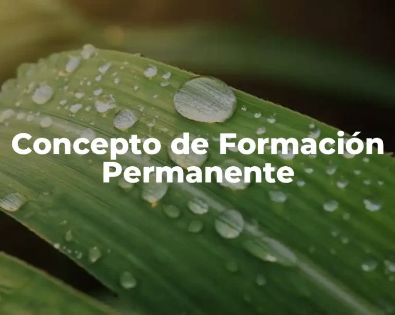 Concepto de Formación Permanente