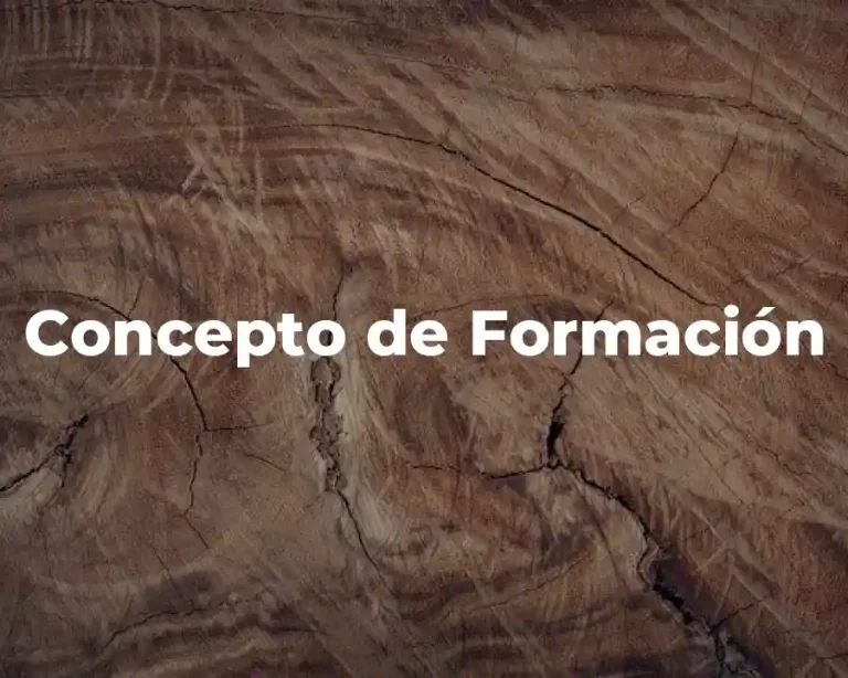 Concepto de Formación