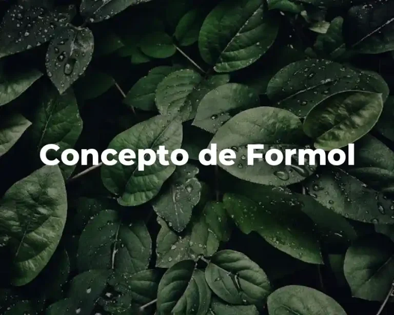 Concepto de Formol