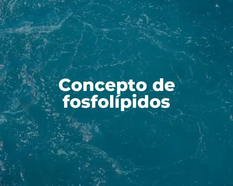 Concepto de fosfolípidos
