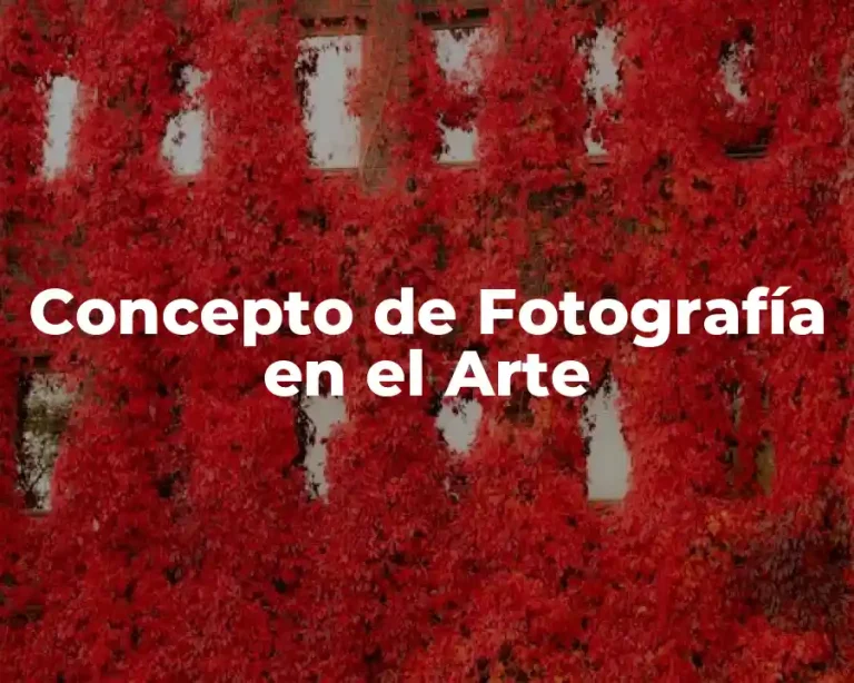 Concepto de Fotografía en el Arte