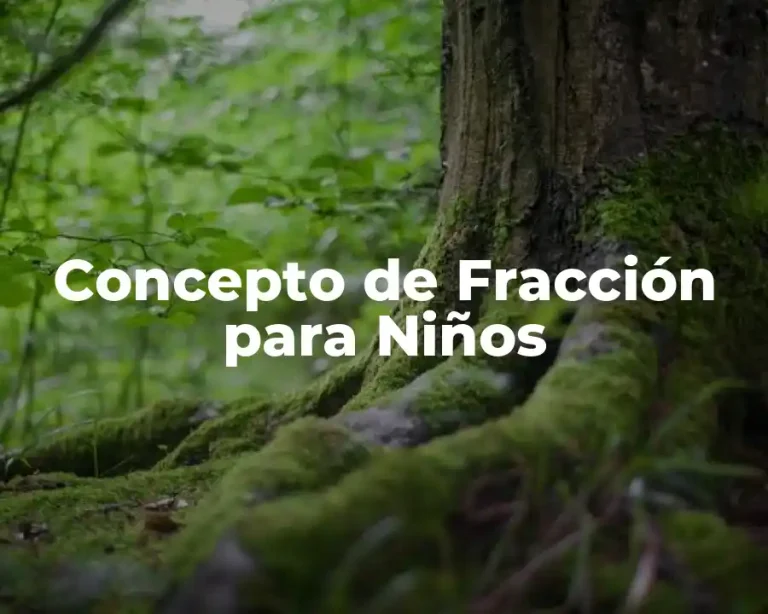 Concepto de Fracción para Niños