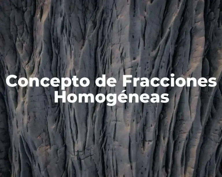 Concepto de Fracciones Homogéneas