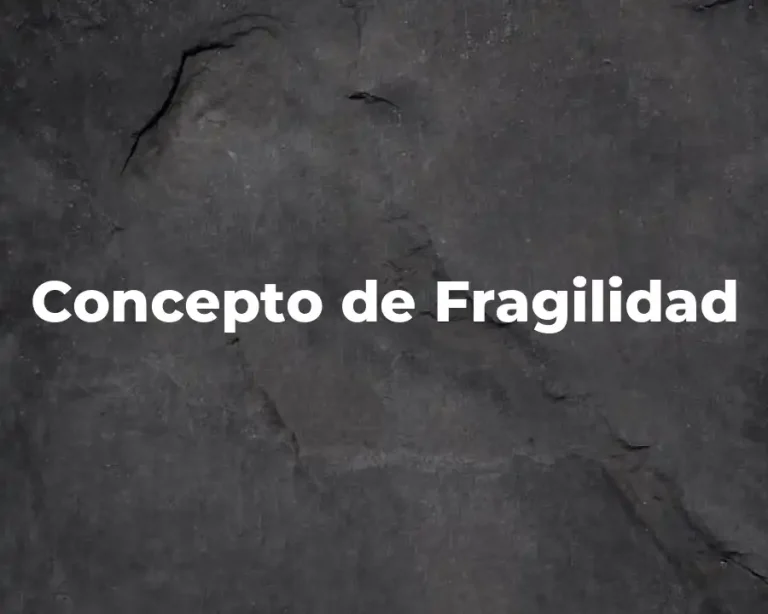 Concepto de Fragilidad