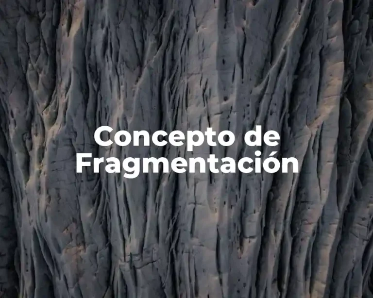 Concepto de Fragmentación