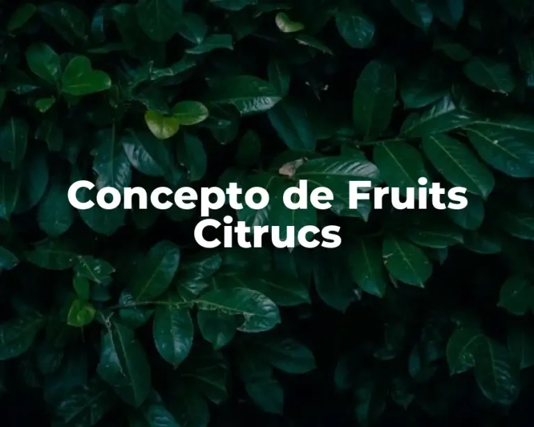Concepto de Fruits Citrucs