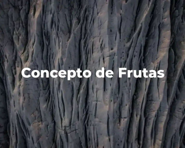 Concepto de Frutas