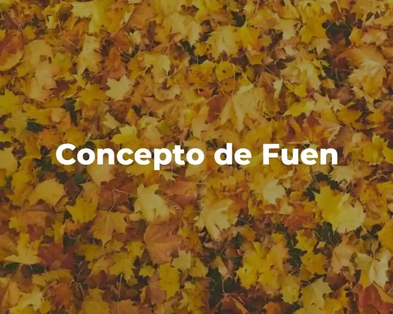 Concepto de Fuen