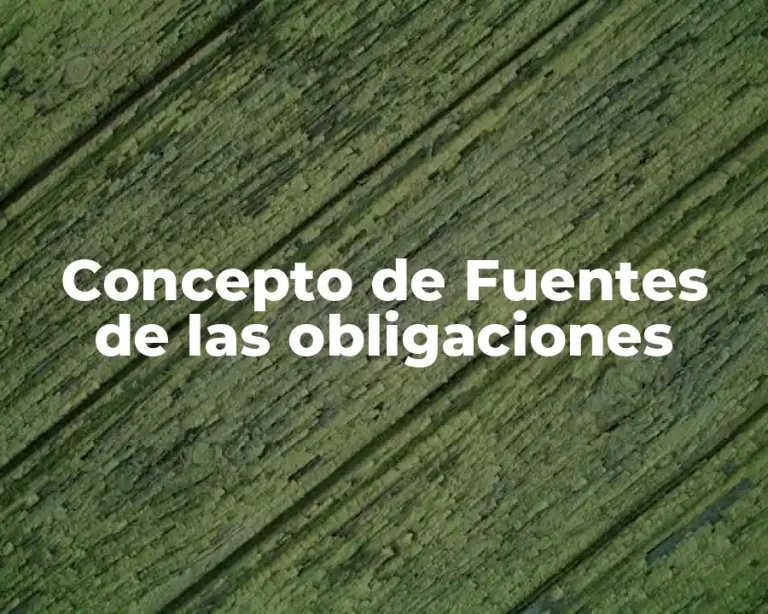 Concepto de Fuentes de las obligaciones