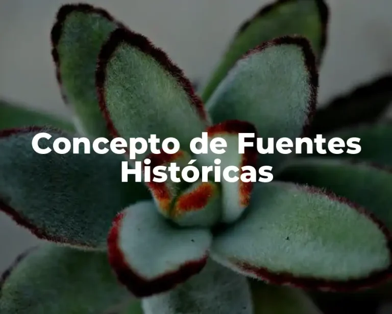 Concepto de Fuentes Históricas