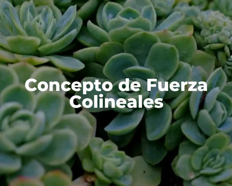 Concepto de Fuerza Colineales