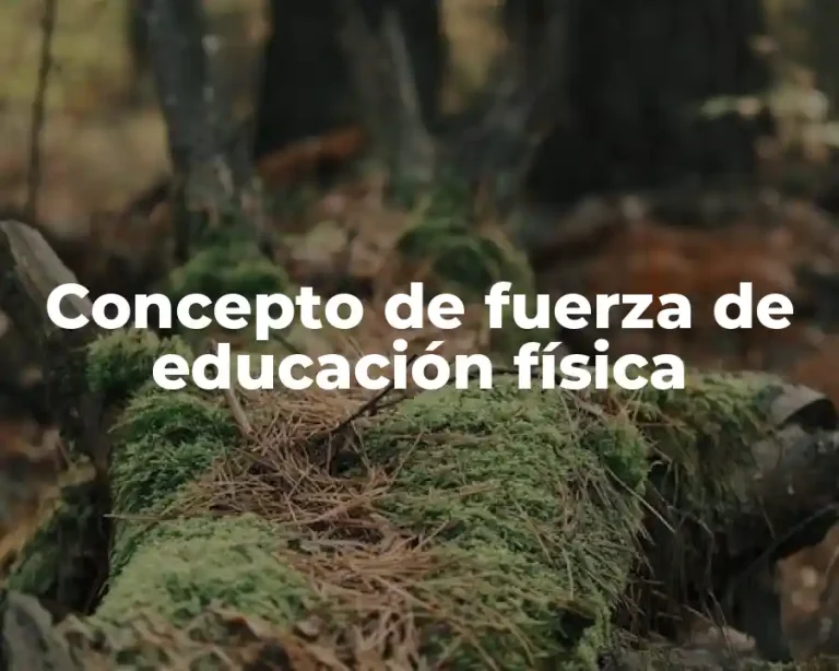 Concepto de fuerza de educación física