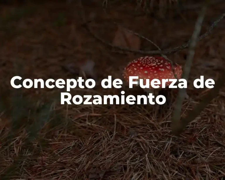 Concepto de Fuerza de Rozamiento