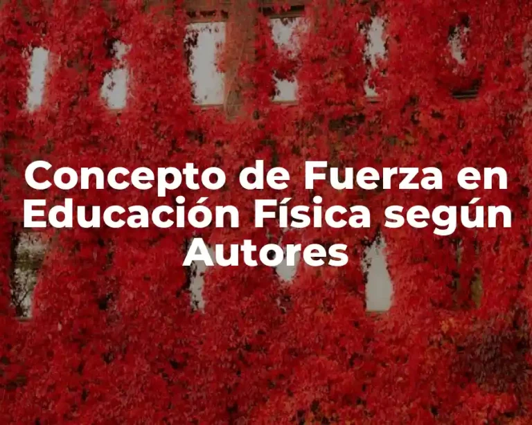 Concepto de Fuerza en Educación Física según Autores
