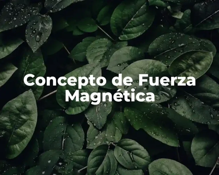 Concepto de Fuerza Magnética