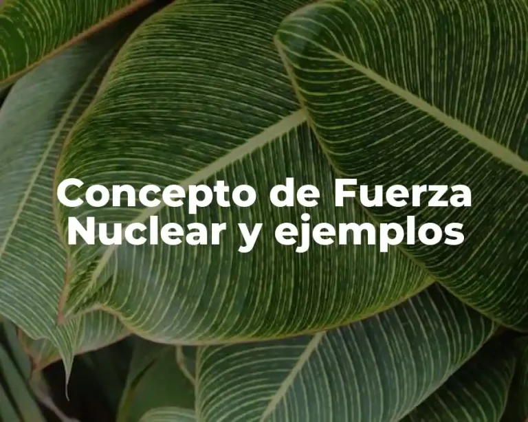 Concepto de Fuerza Nuclear y ejemplos