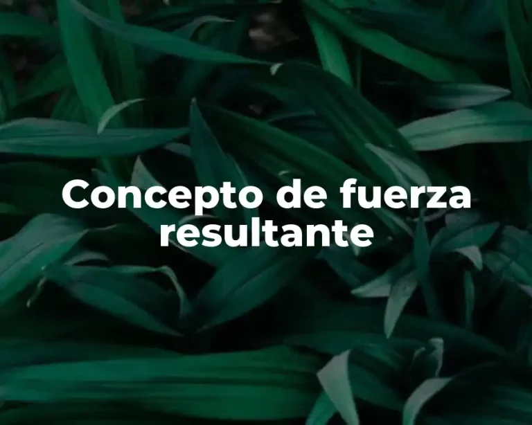 Concepto de fuerza resultante