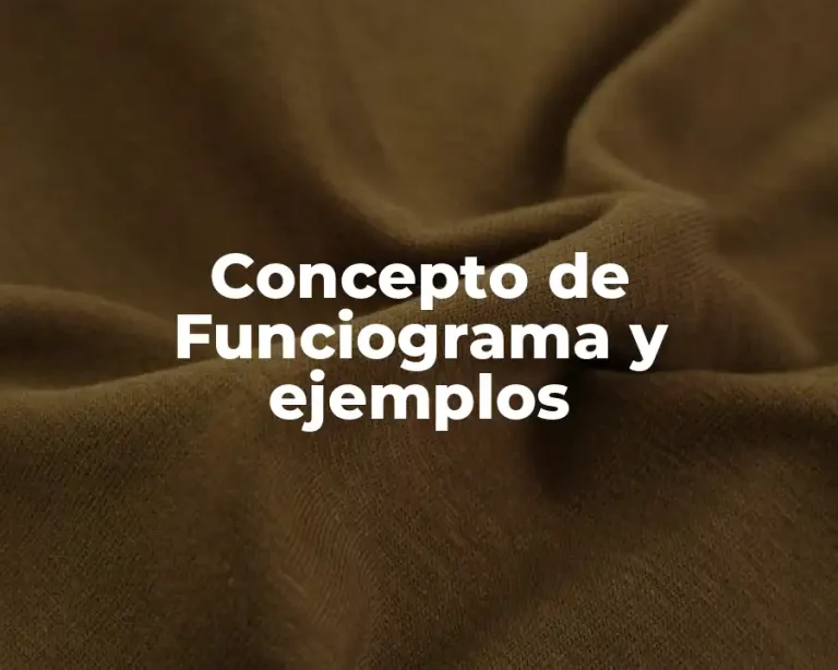 Concepto de Funciograma y ejemplos