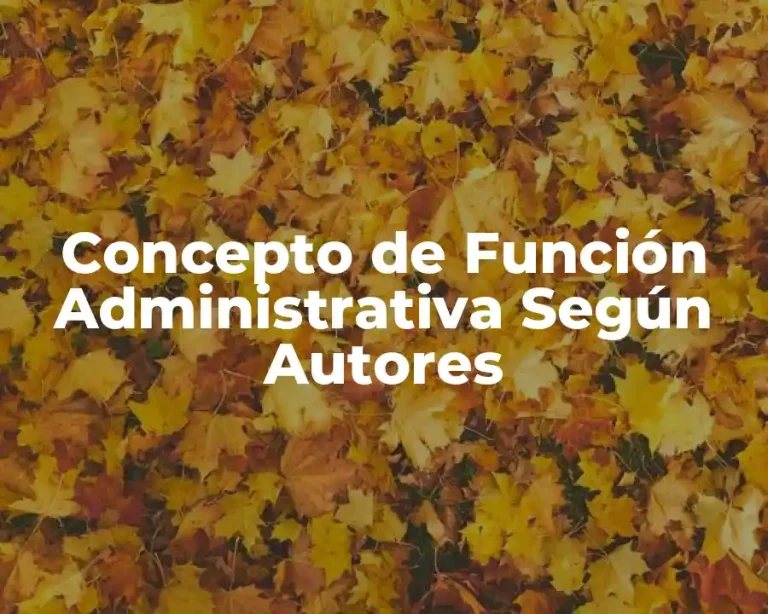 Concepto de Función Administrativa Según Autores