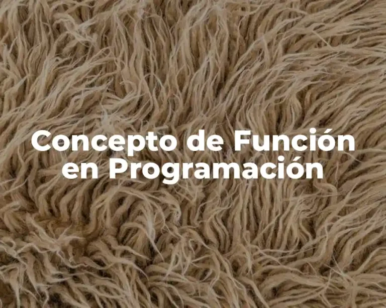 Concepto de Función en Programación