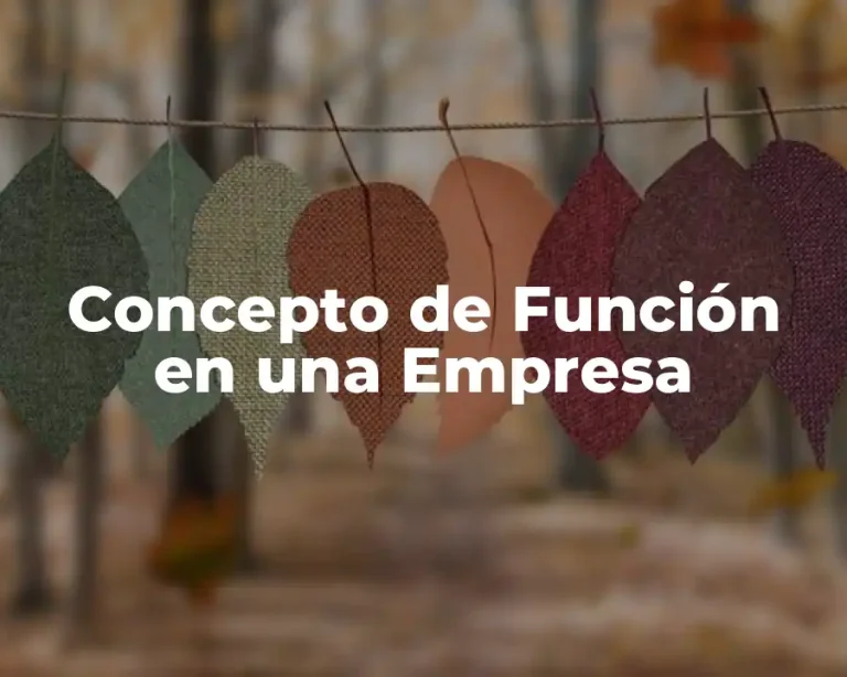 Concepto de Función en una Empresa