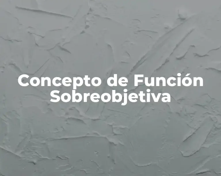 Concepto de Función Sobreobjetiva
