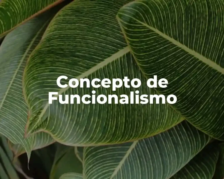 Concepto de Funcionalismo