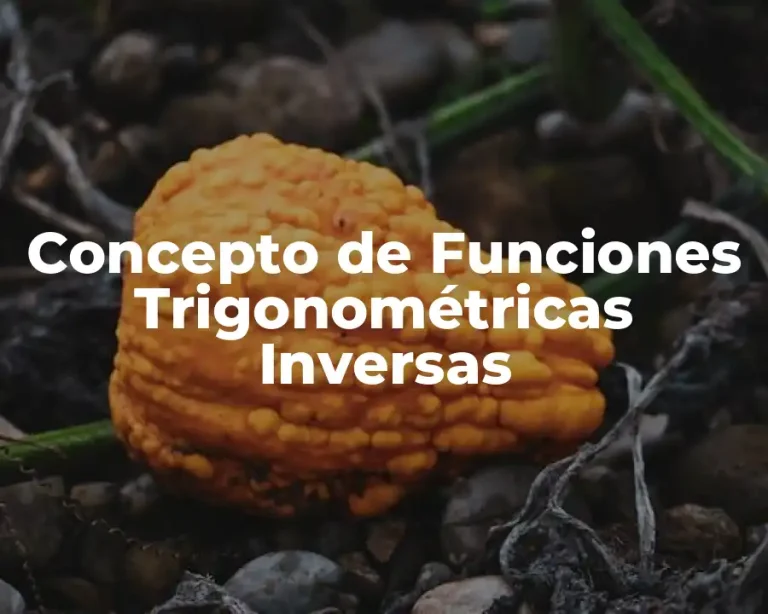 Concepto de Funciones Trigonométricas Inversas