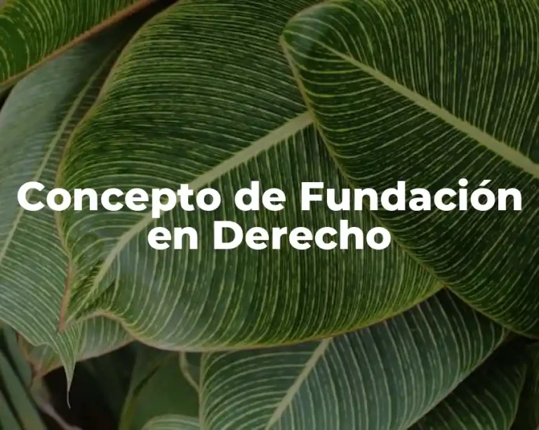 Concepto de Fundación en Derecho