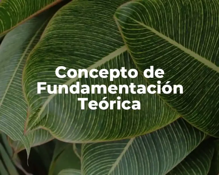 Concepto de Fundamentación Teórica