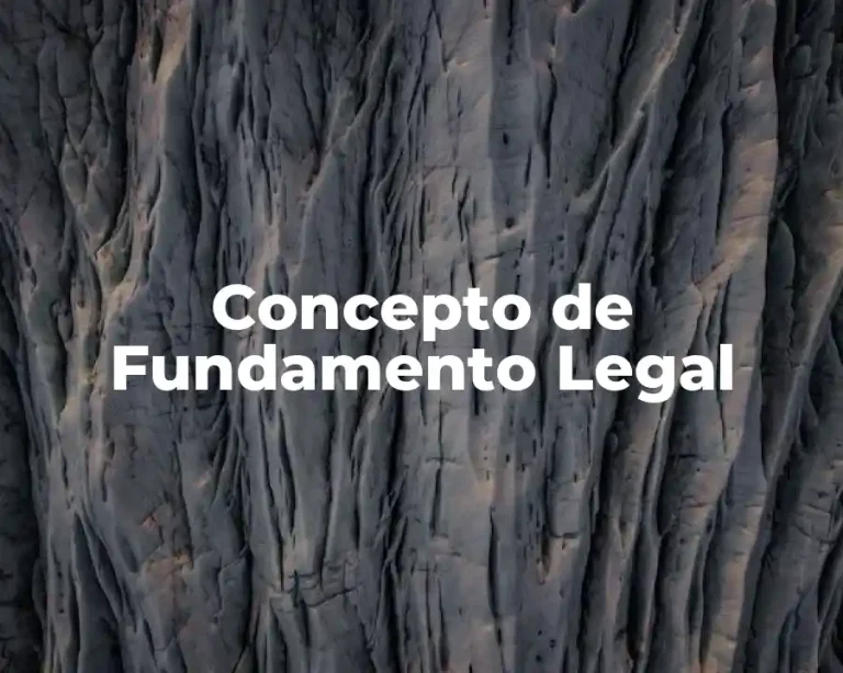 Concepto de Fundamento Legal