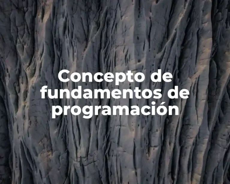 Concepto de fundamentos de programación