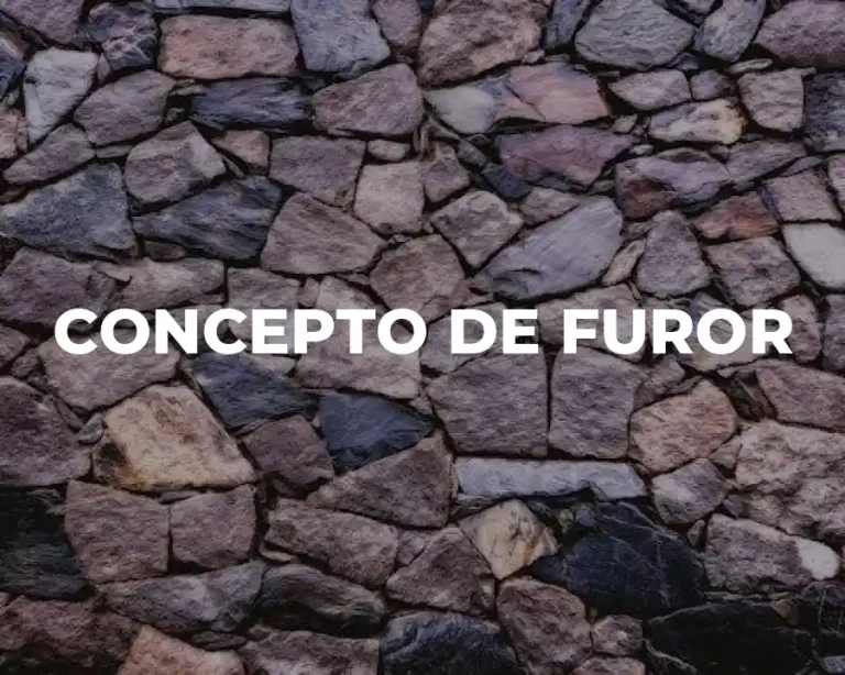 CONCEPTO DE FUROR