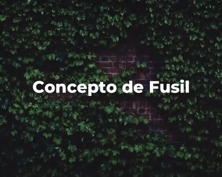 Concepto de Fusil