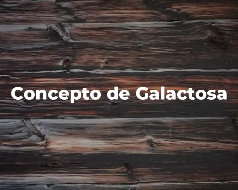 Concepto de Galactosa