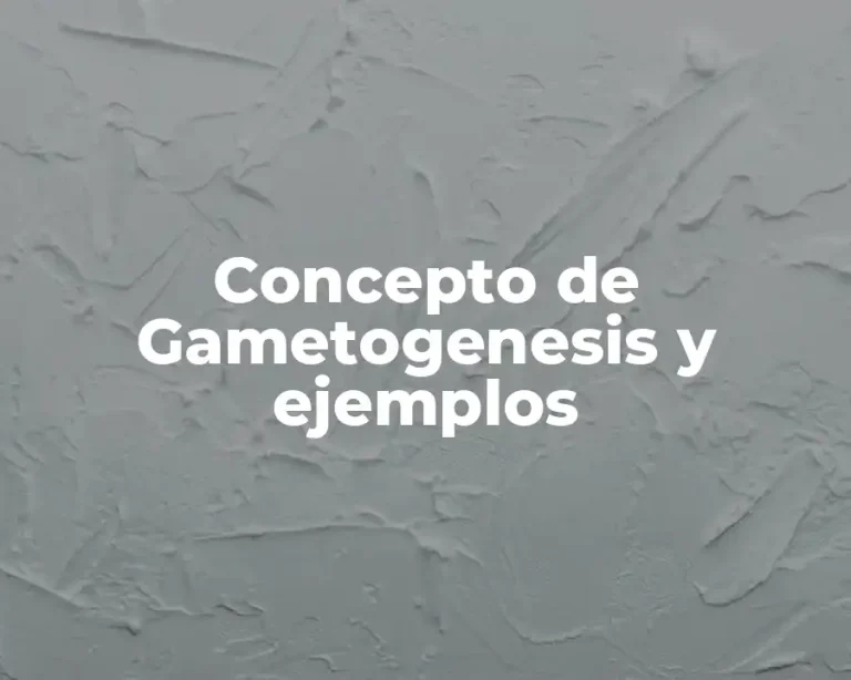 Concepto de Gametogenesis y ejemplos