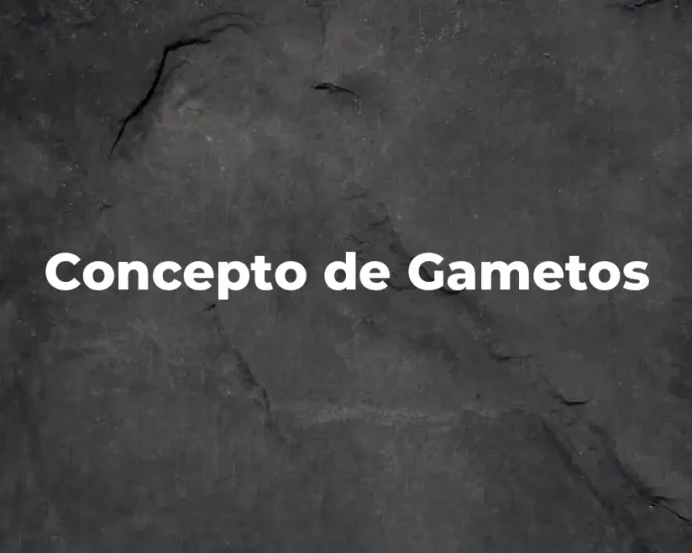 Concepto de Gametos
