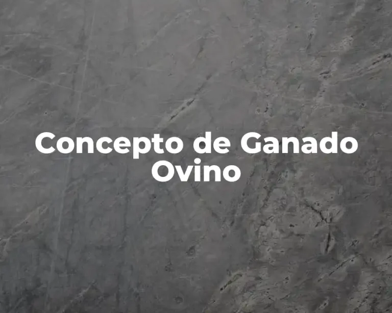 Concepto de Ganado Ovino