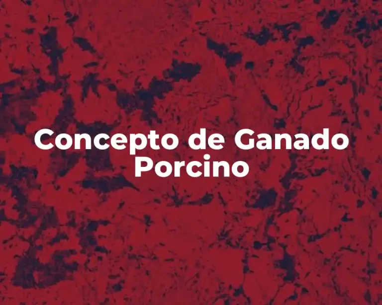 Concepto de Ganado Porcino