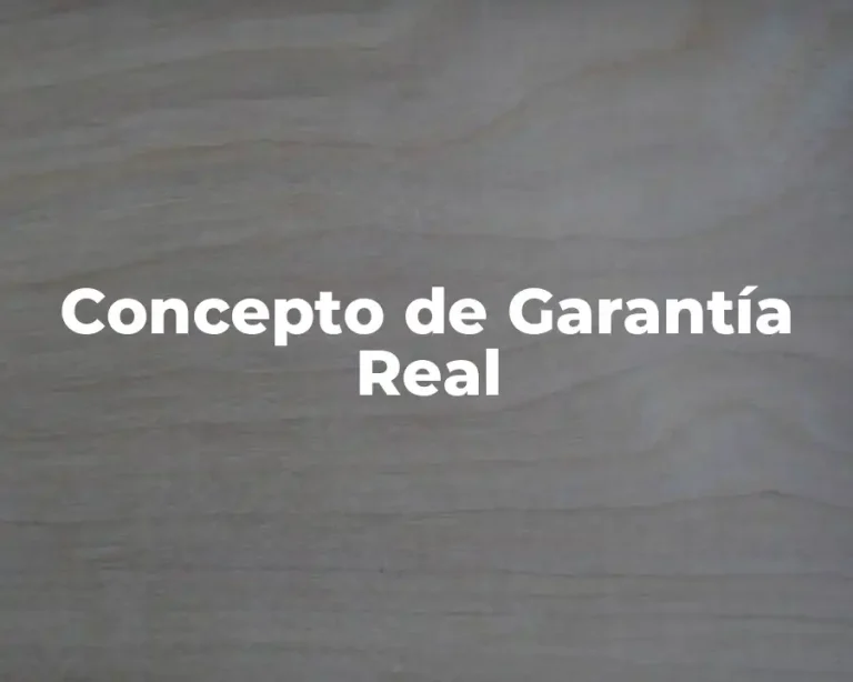 Concepto de Garantía Real