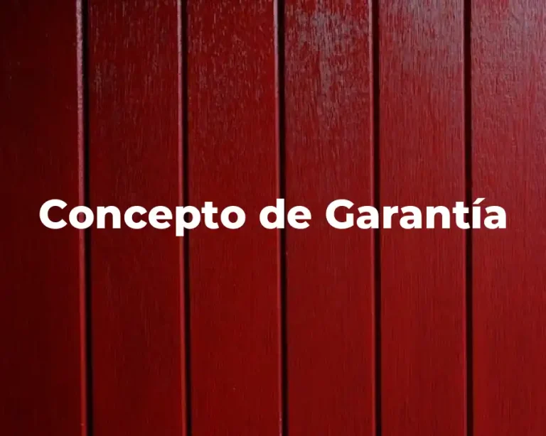 Concepto de Garantía