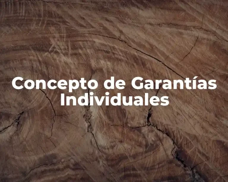 Concepto de Garantías Individuales