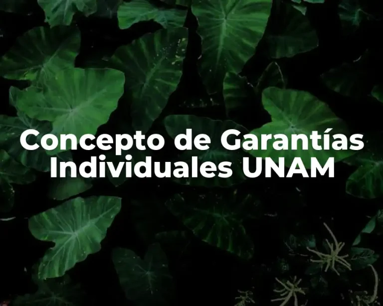 Concepto de Garantías Individuales UNAM