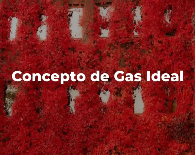Concepto de Gas Ideal